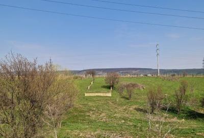 Teren extravilan de 500 mp, în Pielești