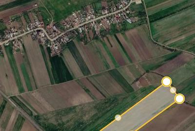 Teren de 60000 mp, în Petrești - 1