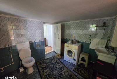Casă cu 3 camere cu Teren 3360 Mp în Produlești