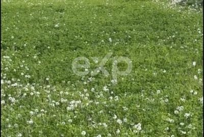 Teren agricol extravilan de 2109 mp, în Budeasa Mare - 4