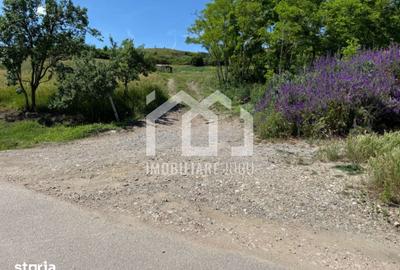 Teren de 2486 mp, în Jucu - 4