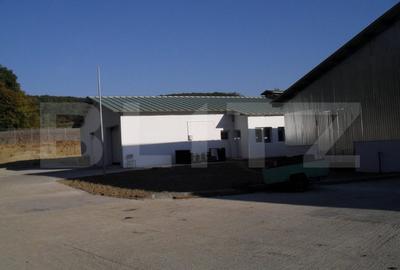 Spațiu comercial, de 3,000 mp, în Central - 9