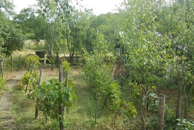 Casă cu 5 camere cu Teren 3200 Mp în Stângăceaua - 1