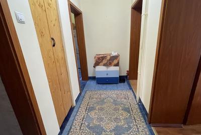 Apartament cu 2 camere decomandat, mobilat în Șagului - 21