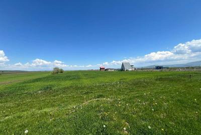 Teren de 13400 mp, în Ilieni - 4