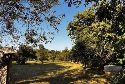 Teren de 1550 mp, în Galda de Jos