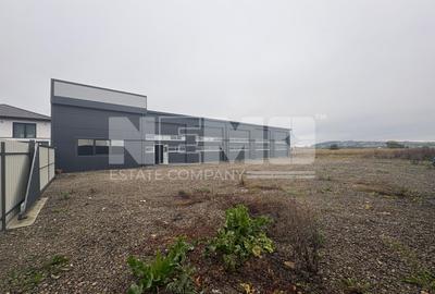 Spațiu industrial, de 416 mp, în Horodnic de Sus - 19