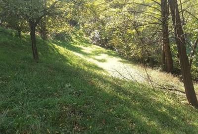 Teren de 868 mp, în Valea Mare - 6