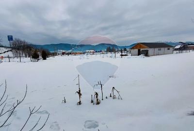 Teren intravilan de 9574 mp, în Est - 7