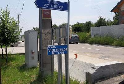 Teren de 500 mp, în Vedea - 2