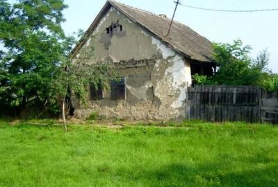 Casă cu 3 camere cu Teren 1224 Mp în Conop