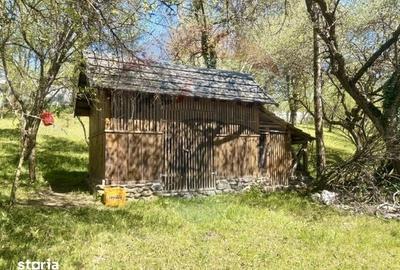 Casă cu 3 camere cu Teren 6039 Mp în Desești - 11