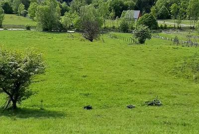 Teren de 3465 mp, în Trăisteni - 1