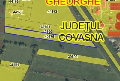 Teren extravilan de 7800 mp, în Nord-Est - 2
