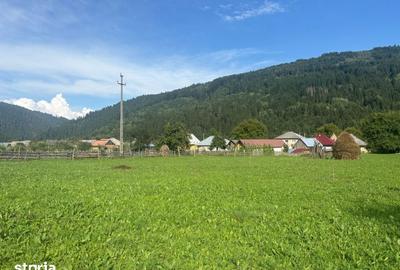 Teren de 7100 mp, în Grințieș - 1