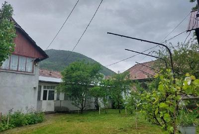 Casă cu Teren 1000 Mp în Lepșa - 4