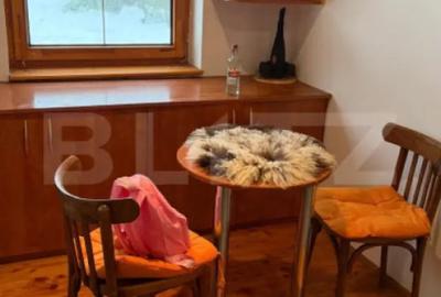 Casă cu 4 camere cu Teren 4302 Mp în Geoagiu-Băi - 2