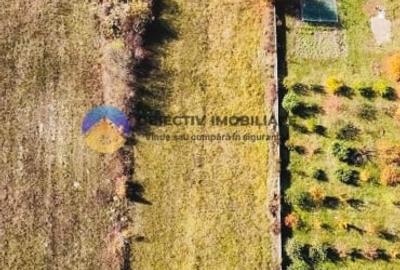 Teren agricol intravilan de 2200 mp, în Gârcina - 6