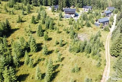 Teren de 4000 mp, în Dorna-Arini