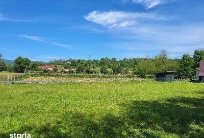 Teren de 1743 mp, în Tisău