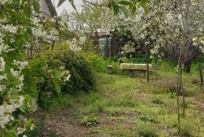Casă individuală cu 2 camere cu Canalizare în Central - 3