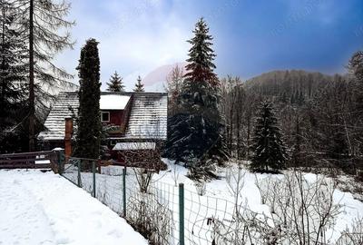 Teren de 1794 mp, în Lunca (Moroeni)