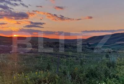 Teren în Cojocna
