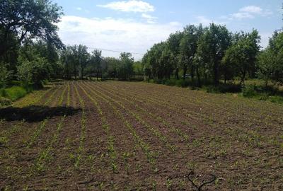 Casă cu 3 camere în Talpoș