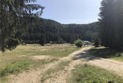 Teren de 1656 mp, în Brebina - 5