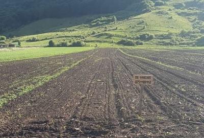 Teren de 2500 mp, în Șieu - 3