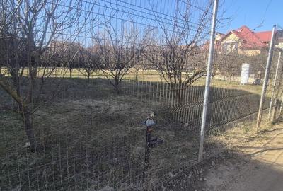 Teren Construcții intravilan de 1000 mp, în Iancu Nicolae - 7