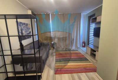 Apartament cu 2 camere semidecomandat, mobilat în Gorjului - 1