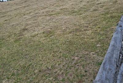 Teren de 7800 mp, în Măguri - 7
