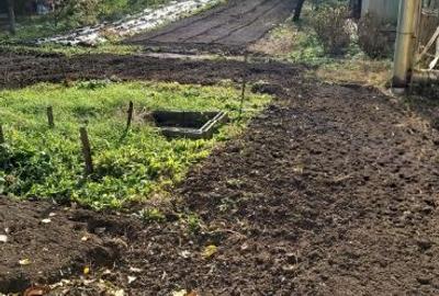 Casă cu 3 camere cu Teren 1800 Mp în Băgara - 10