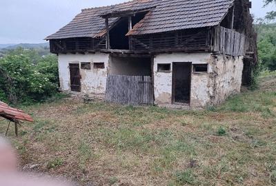Casă cu Teren 2500 Mp în Gura Văii