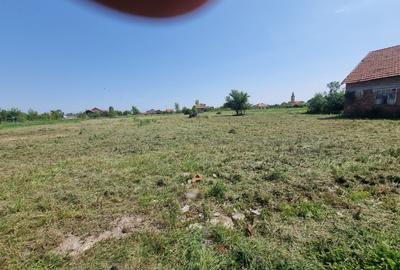 Teren Construcții intravilan de 4316 mp, în Țipari - 4