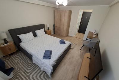 Apartament cu 1 camere semidecomandat, mobilat în P-ța Ovidiu - 8
