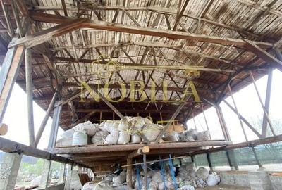 Spațiu comercial, în Agăș - 20