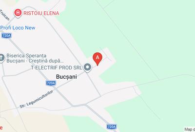 Casă individuală cu 3 camere cu Teren 2533 Mp în Bucșani