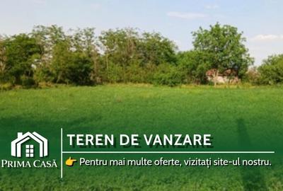 Teren intravilan de 3580 mp, în Călțuna