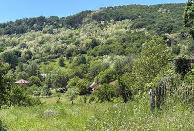 Teren de 1000 mp, în Mălureni