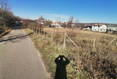 Teren de 6000 mp, în Fălticeni - 7