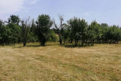 Teren de 3472 mp, în Gornovița - 5
