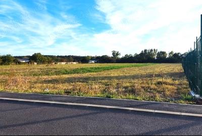Teren intravilan de 5548 mp, în Jilava