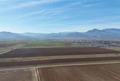 Teren agricol extravilan de 92700 mp, în Tărlungeni - 5