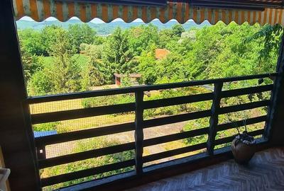 Casă cu 3 camere cu Teren 2700 Mp în Băiculești