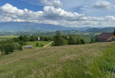 Teren Construcții extravilan de 5392 mp, în Peștera - 8