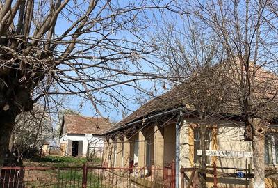Casă cu 3 camere cu Teren 2200 Mp în Săuca - 2