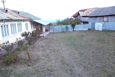 Casă cu 4 camere în Faraoanele