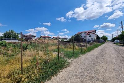 Teren agricol intravilan de 1000 mp, în Valea Lupului - 2